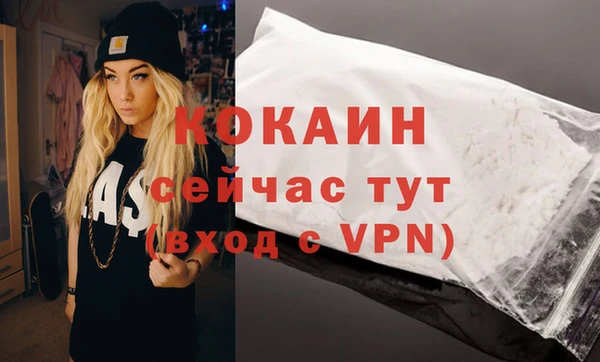 дживик Каменка