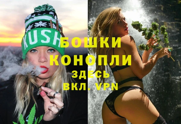 дживик Каменка