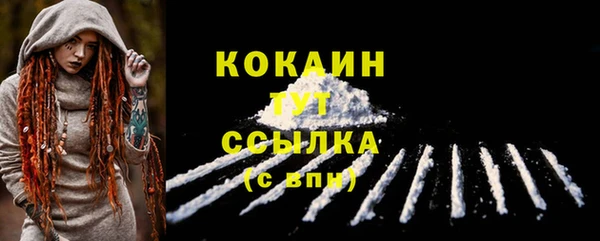 дживик Каменка