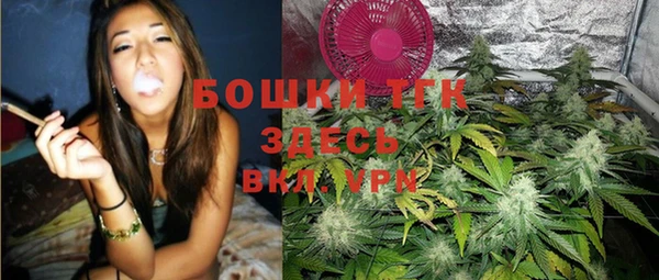 дживик Каменка