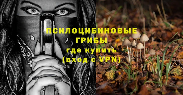 ешки Каменск-Шахтинский