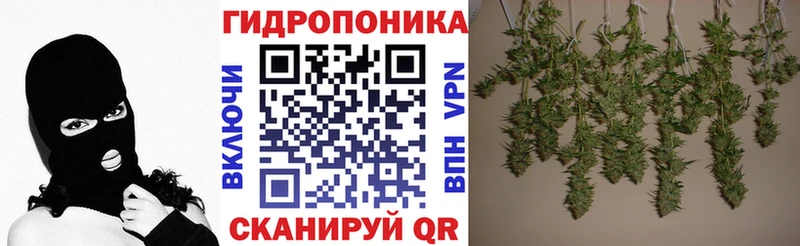 Купить закладки Ермолино Каннабис марихуана